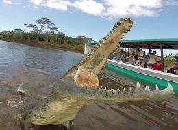 Crocodile River Expedition
