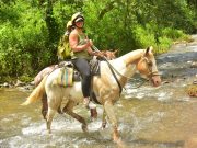 Horseback Jungle Tour Jaco Beach
