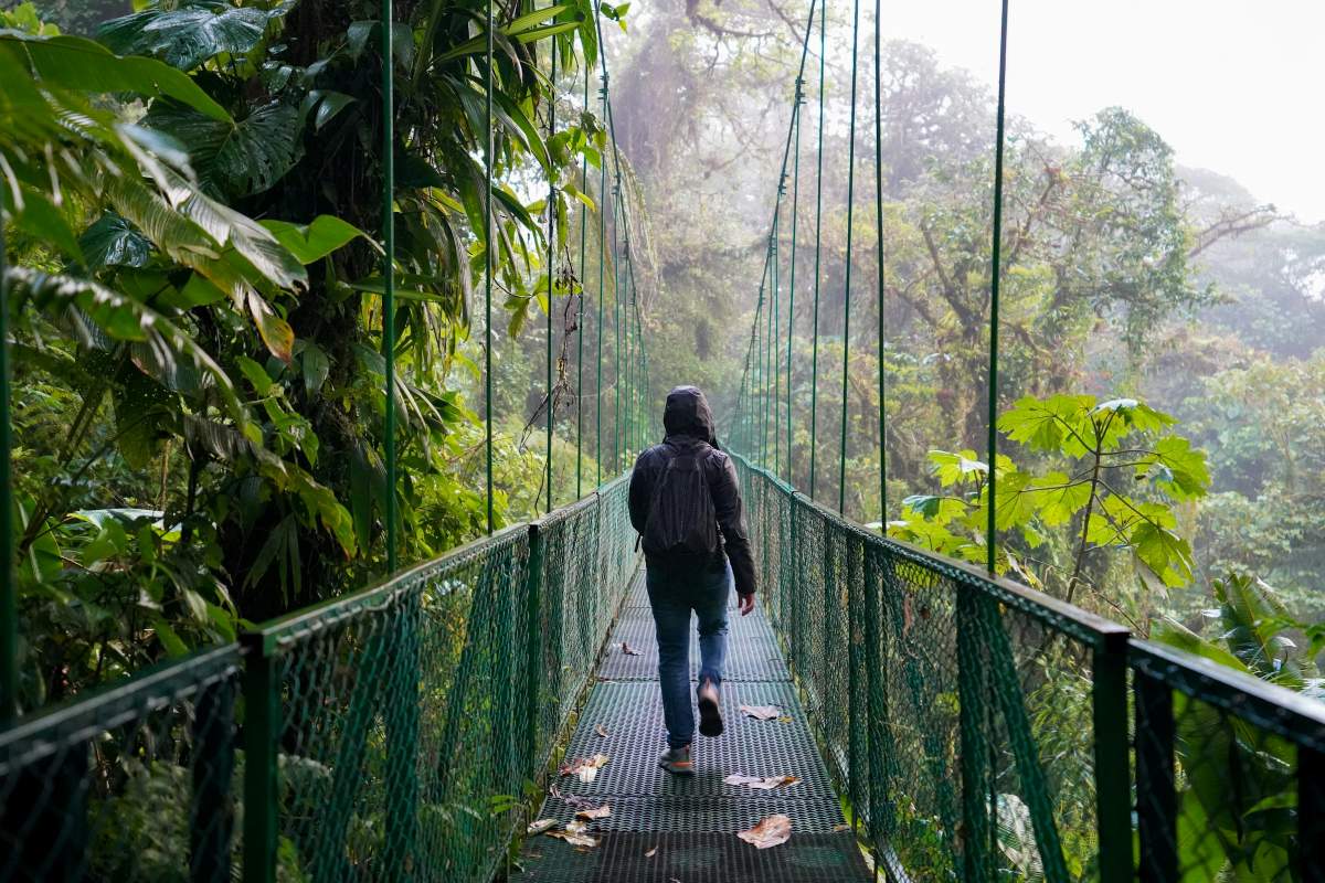 Hanging Bridges Costa Rica Green Season