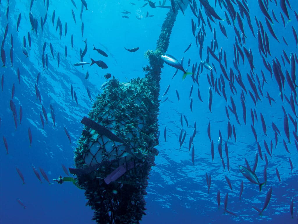 Fish Aggregating Device - FAD Fishing in Costa Rica
