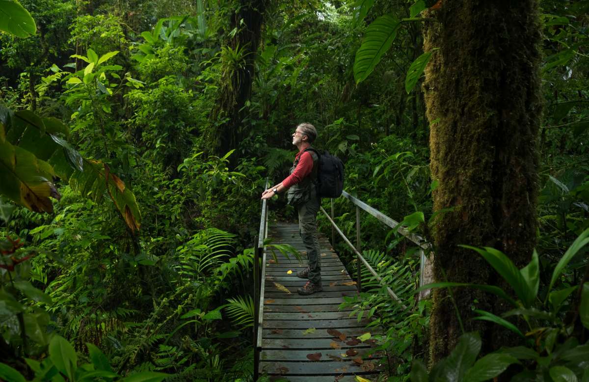 Thick green jungle in the Green Season is the best time to hike!