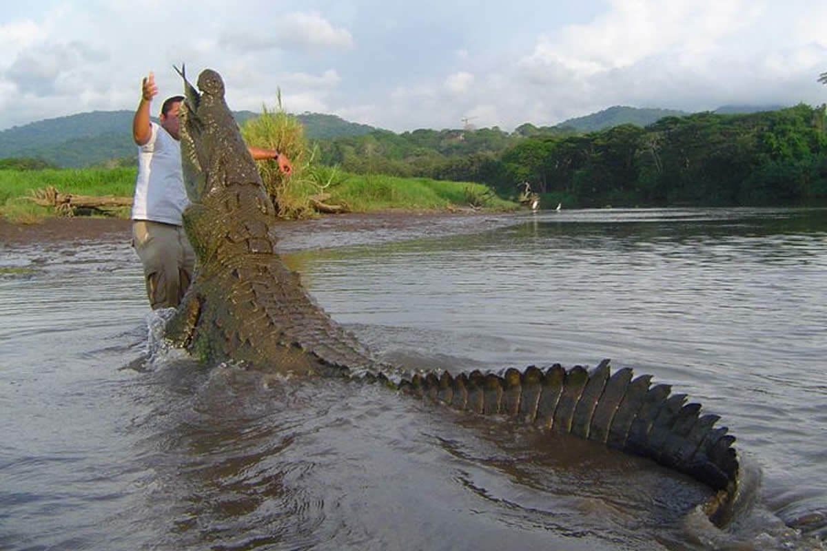 Jaco360 Transfers - SJO to Jaco Beach - Tarcoles River Bridge
