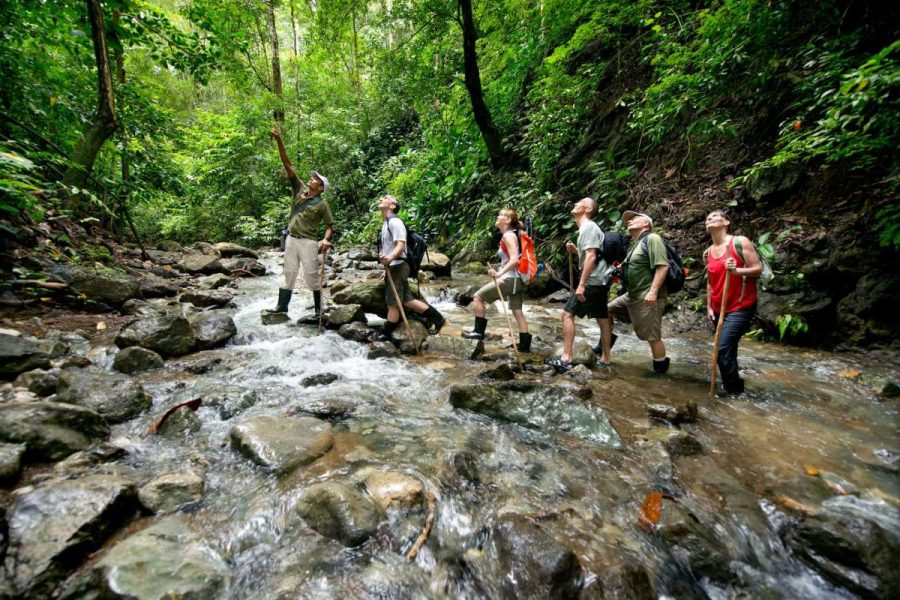 Tortuguero Expedition Jungle Hiking - Jaco360