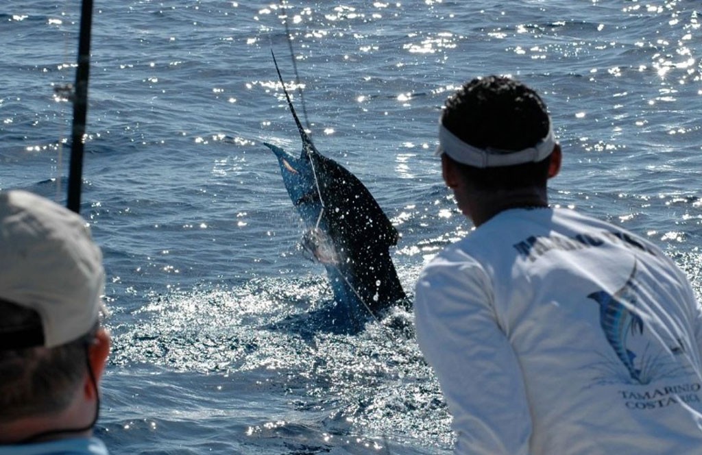 Group sportfishing charter Los Suenos Costa Rica 2026